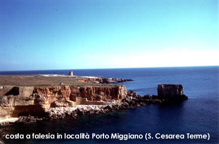 Falesia_2.jpg (27976 byte)